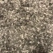 ぽんにゃの画像