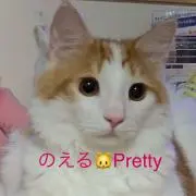 あべこ☆出品再開！ベビドおまとめ値下げ中