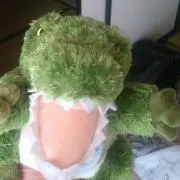 crocodile