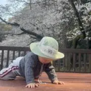 明の画像