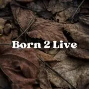 【USED】Born 2 Liveの画像