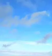 ミルクティーの画像