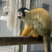 わわわ プロフ読んでねの画像