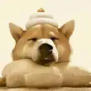 招き犬の画像