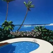 さつきの画像