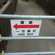 ティー
