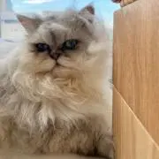 sleepy