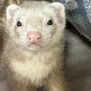 ひろの画像