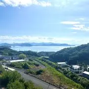 はとの画像