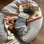 葉月の画像