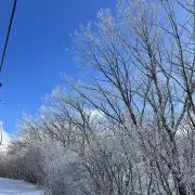 tatsu16の画像