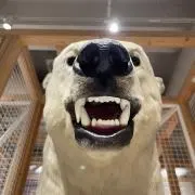 Mr. Cの画像