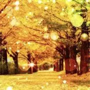 GOLDの画像