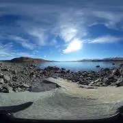 ハヤシの画像