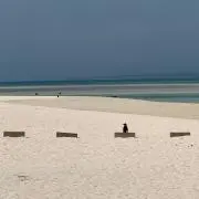 Qの画像