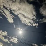 Rの画像