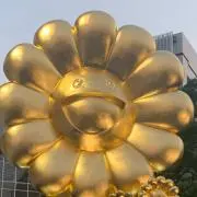 みみの画像