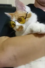ルル (購入前プロフ必読!)の画像