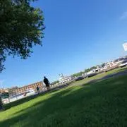 パトラッシュの画像