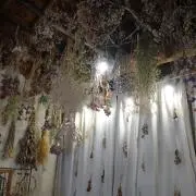 chiiiiの画像