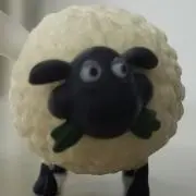 ふくをの画像