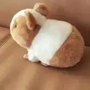 nekomiの画像