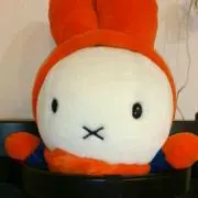 ましろストアの画像
