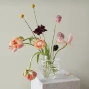 猫柳の画像