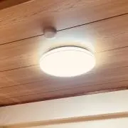 忍者