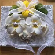 プルメリアの画像
