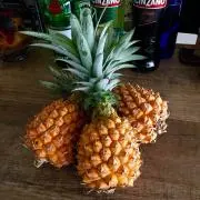 オヒトヨシ