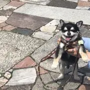 るんるんの画像