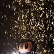 あっちゃんの画像