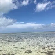 そらのすけの画像