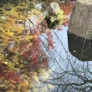 jimきちの画像
