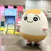 ちこまるの画像