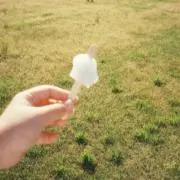 Yの画像