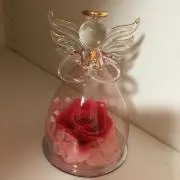 りんごの画像