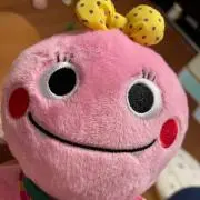 がんこちゃんの画像
