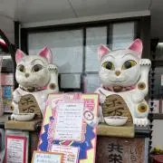 まゆさんの画像