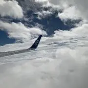 ANAの画像