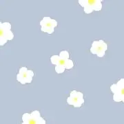 【断捨離中/最短翌日発送】の画像