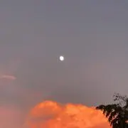 kuu