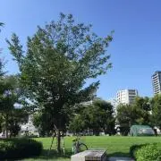 ゆうくんパパの画像
