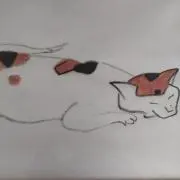 リボーンの画像