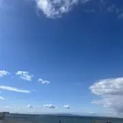shoの画像