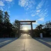 こりんの画像