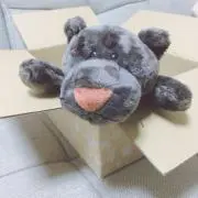 miiichaso☀︎の画像