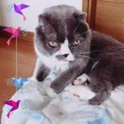 豆ままの画像