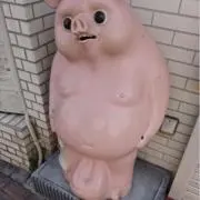 ゆののの画像